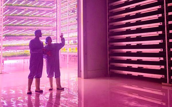 National Security Is Driving More Interest in Sustainable Investing 