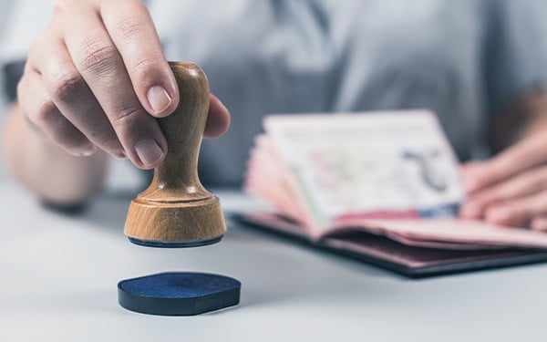 Revenge Travel and Smart Visa Solutions