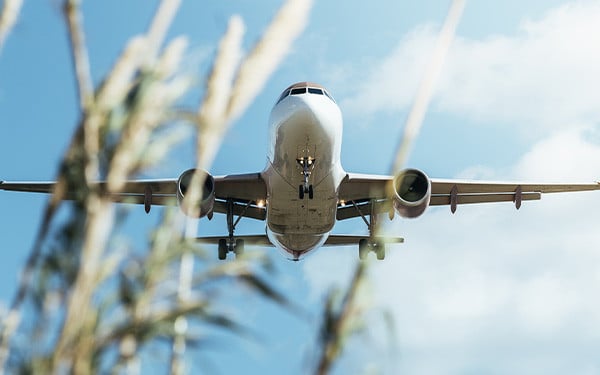 Aircraft flying low over plants