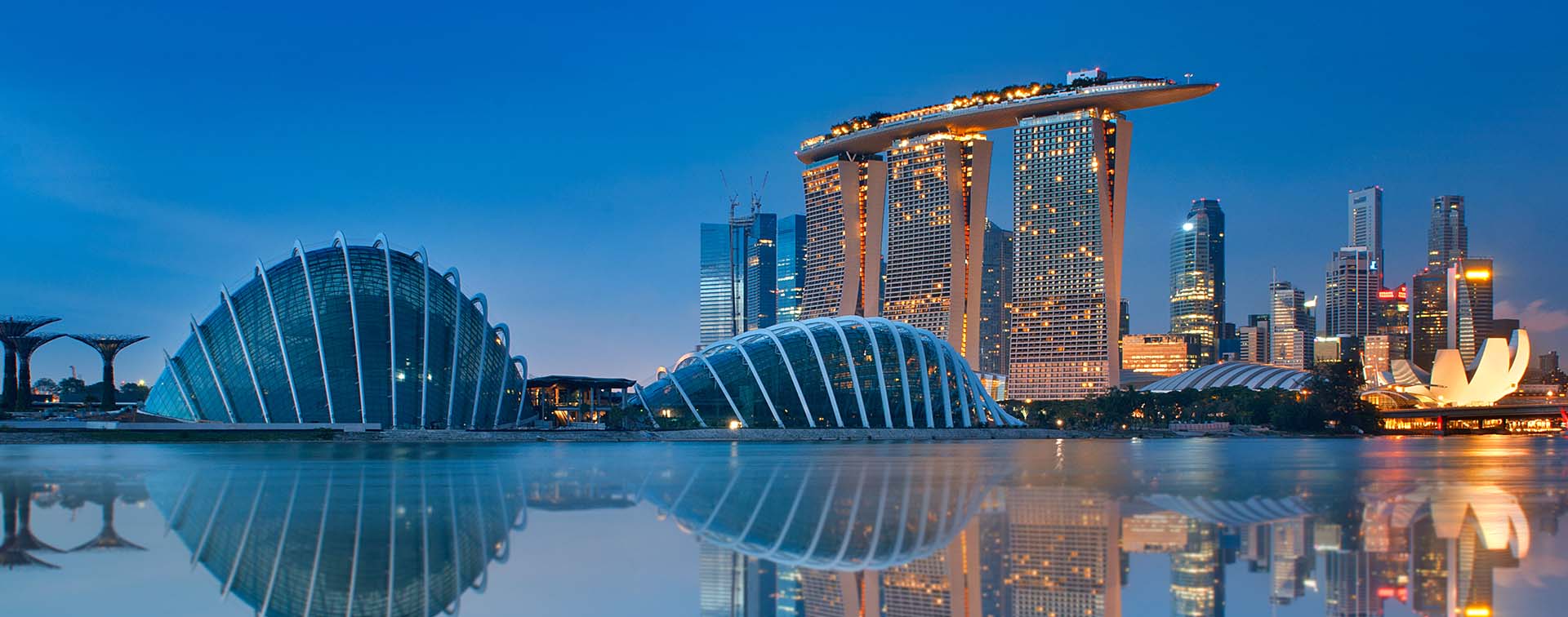 Gardens by the Bay and Singapore skyline reflection on blue water at blue hour in Singapore