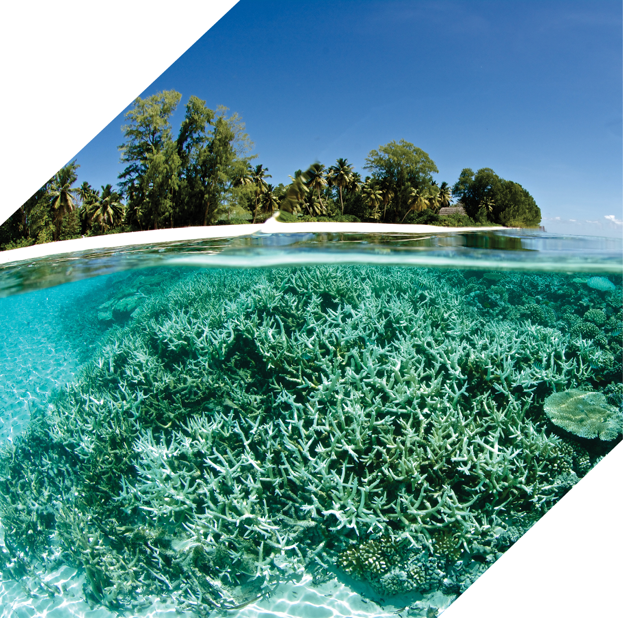 split level image of coral reef in foreground and tropical island background in seychelles